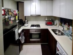 La Fiesta (D19), Condominium #477121171